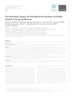 The Potential Impact of Oral Nicotine Pouches on Public Health: A Scoping Review